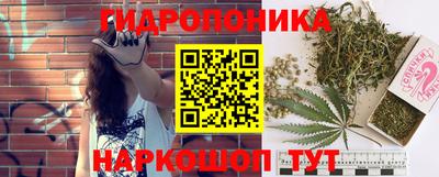 СК Туймазы