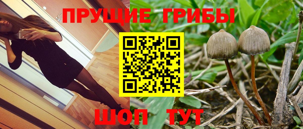 Псилоцибиновые грибы прущие грибы  Вход с VPN  купить   Белореченск 